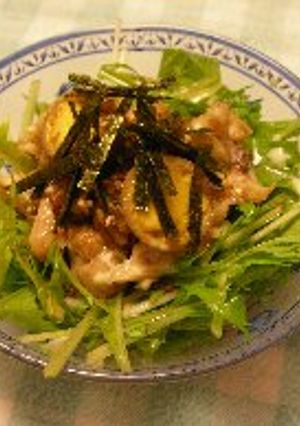 鶏のさっぱりサラダ-レシピのメイン写真