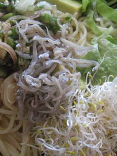 アボガドとおろしの冷製パスタ-レシピのメイン写真