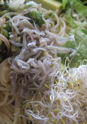 アボガドとおろしの冷製パスタ-レシピのメイン写真