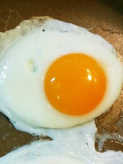 黄身の黄色いきれいな目玉焼き-レシピのメイン写真