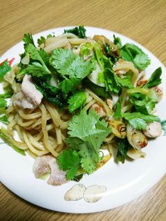 パクパクパクチー(*^^*)塩焼きそば♪-レシピのメイン写真