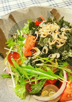 トマ海苔サラダ-レシピのメイン写真