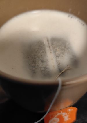 ほうじ茶ラテ-レシピのメイン写真