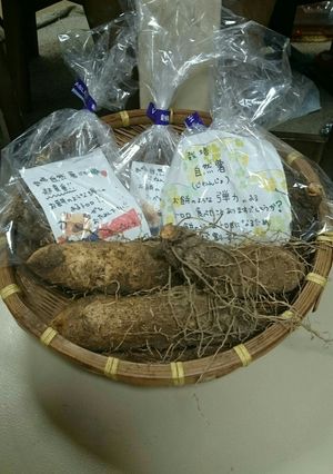 自然薯、山芋、長いも(長芋)の磯べ焼き-レシピのメイン写真