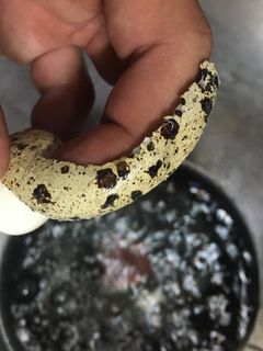 うずらのゆで卵!超簡単!!-レシピのメイン写真