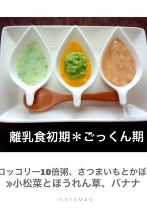 ブロッコリーの10倍粥-レシピのメイン写真
