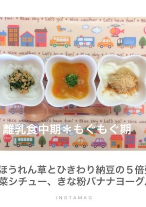 ほうれん草とひきわり納豆の５倍粥-レシピのメイン写真