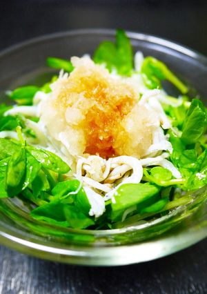 豆苗としらすの大根おろしポン酢がけ-レシピのメイン写真