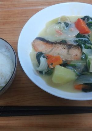 わける派・簡単・鮭＆野菜たっぷりシチュー-レシピのメイン写真