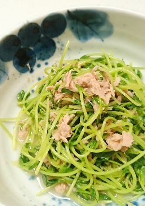 簡単でごめんね♪豆苗とシーチキン炒め-レシピのメイン写真