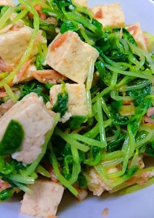 お父さんの豆苗サラダ-レシピのメイン写真