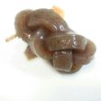 *三つ編みこんにゃく*