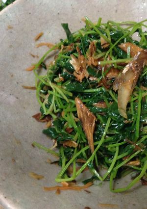 豆苗お浸し-レシピのメイン写真