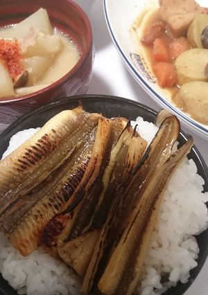 穴子の蒲焼き-レシピのメイン写真