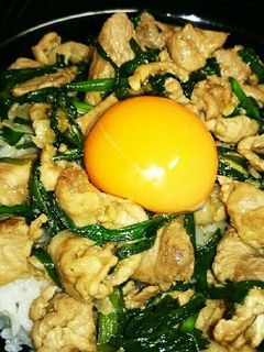簡単☆スタミナ丼-レシピのメイン写真