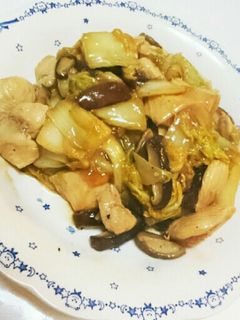 鶏肉と白菜の中華炒め-レシピのメイン写真
