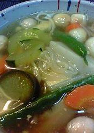 お野菜たっぷり♪おくずかけ-レシピのメイン写真