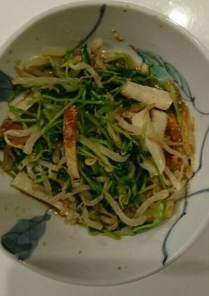 豆苗ともやしの胡麻和え-レシピのメイン写真