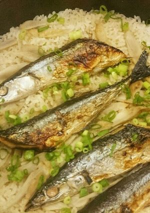秋刀魚(サンマ)の土鍋ごはん-レシピのメイン写真
