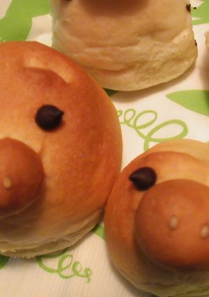 こぶたのパン-レシピのメイン写真