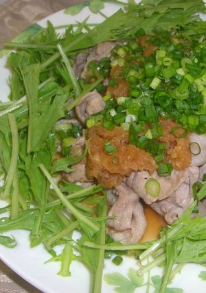 冷しゃぶ風♪豚肉のおろしソース-レシピのメイン写真