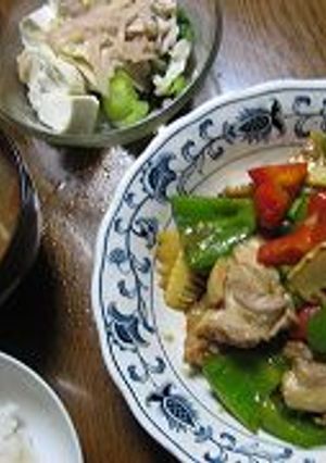 鶏肉とピーマンの炒め物-レシピのメイン写真