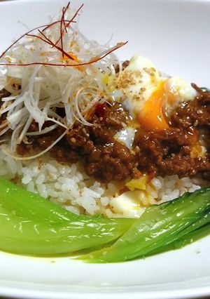 辛さ自在☆辛すぎない担々ごはん-レシピのメイン写真