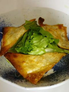 ワンタンの皮チーズ揚げのサラダ-レシピのメイン写真