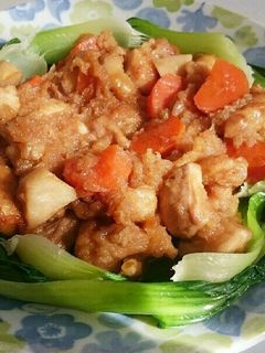鶏肉のみぞれ煮-レシピのメイン写真