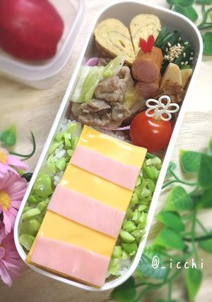 「ガチャピンのおなか」弁当-レシピのメイン写真