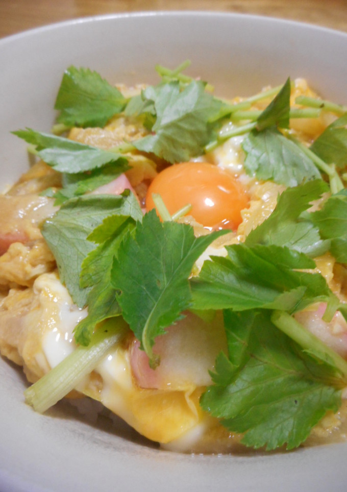 とろとろ玉子丼-レシピのメイン写真