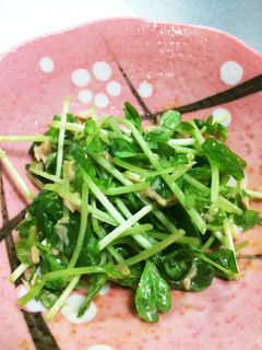 豆苗とツナのサラダ-レシピのメイン写真