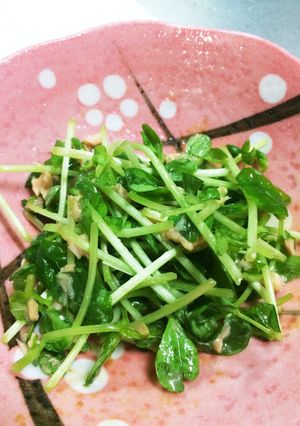 豆苗とツナのサラダ-レシピのメイン写真
