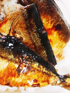 秋刀魚の蒲焼き丼-レシピのメイン写真