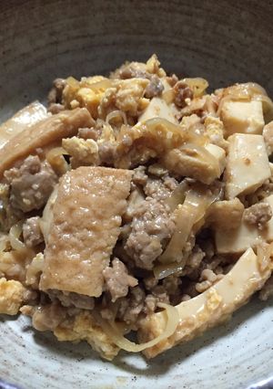 豚ひき厚揚げ-レシピのメイン写真