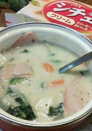 分ける派~一人用シチュー-レシピのメイン写真