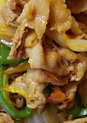 野菜炒めベース（もやし炒め、レバニラ）-レシピのメイン写真