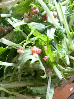 超簡単♪サラミと水菜のシーザー風サラダ☺-レシピのメイン写真
