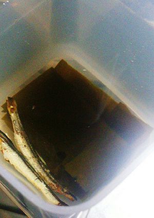 煮干しと昆布のお出汁-レシピのメイン写真