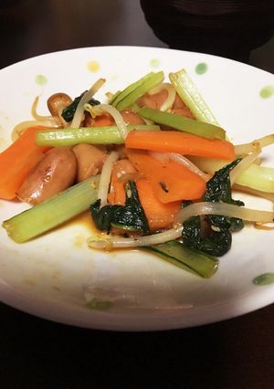 いろいろ野菜炒め-レシピのメイン写真