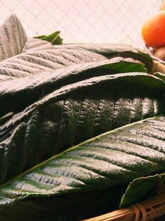 枇杷の葉粉末茶-レシピのメイン写真