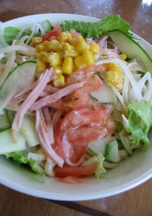 サラダうどん-レシピのメイン写真