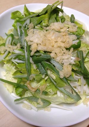 天かすが決め手!たぬきサラダ-レシピのメイン写真