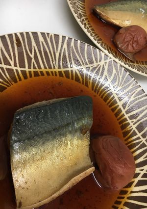 さばの梅煮-レシピのメイン写真