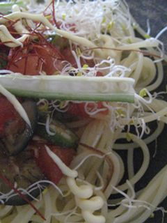 トマトと茄子の浅漬けの冷製パスタ-レシピのメイン写真