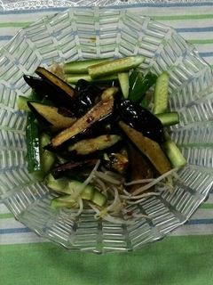 揚げなすのあっさりサラダ-レシピのメイン写真