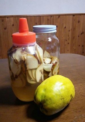 かりん蜂蜜漬け-レシピのメイン写真