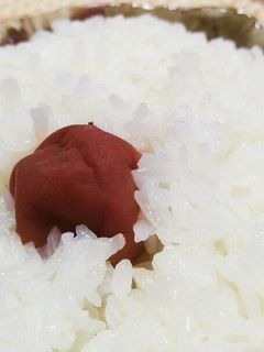 梅干しを炊飯器にポーン!梅ごはん♬-レシピのメイン写真