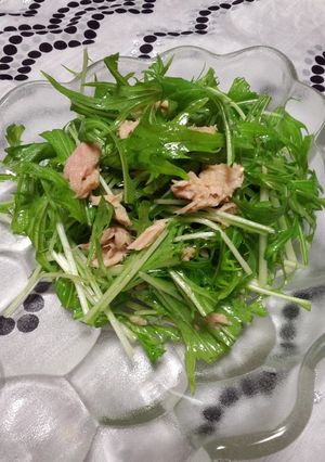 旬の柔らか水菜をツナ入りドレッシングで-レシピのメイン写真
