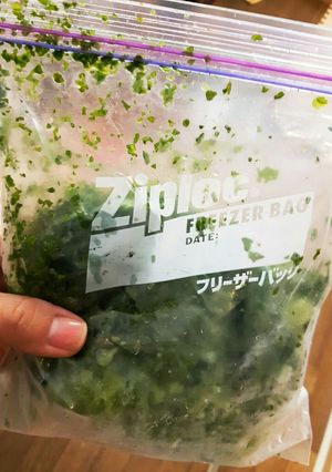 硬いレタスの葉★冷凍保存　離乳食にも-レシピのメイン写真